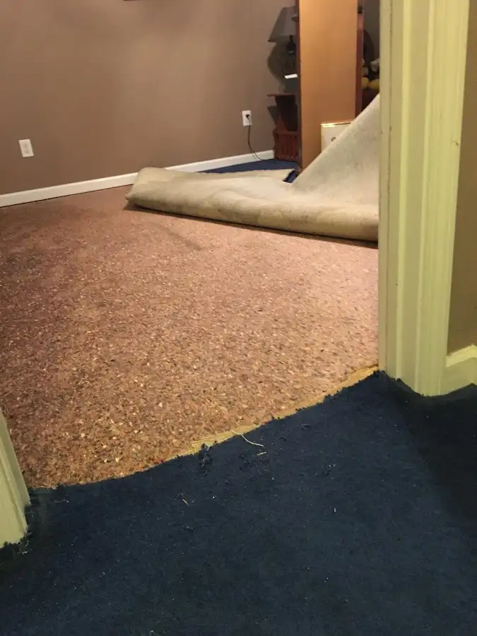 Carpet pad removal revealing water damage during Drying & Dehumidification in Hazel Dell